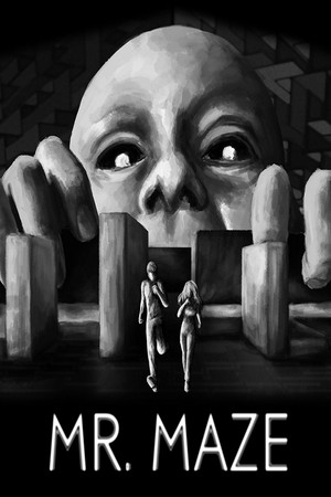 Mr. Maze cover art