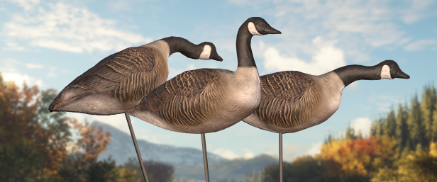 canada goose web game