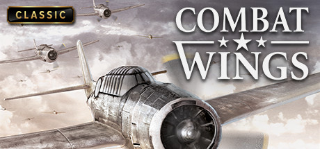 Combat Wings Cover Image