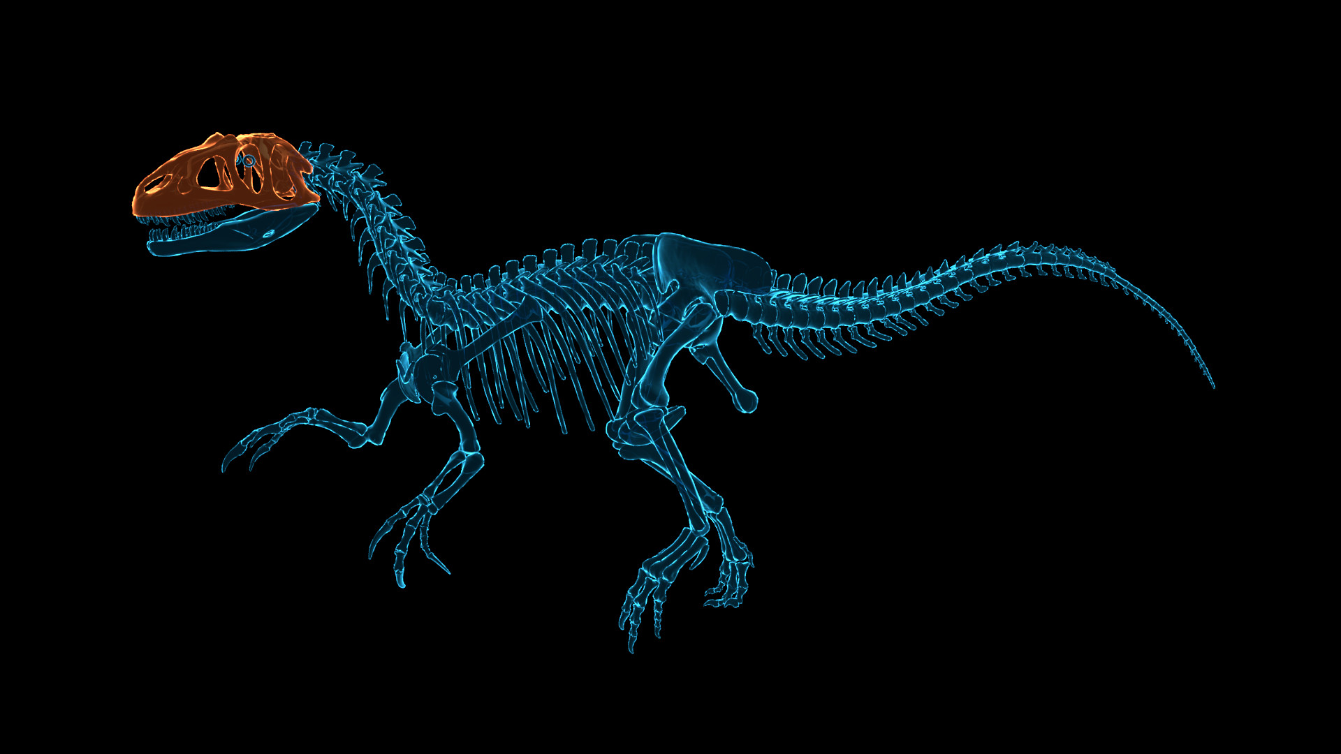 Dinosaur Fossil Hunter Free Download