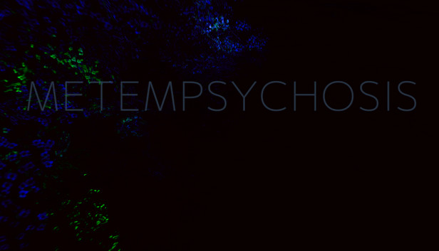 Metempsychosis Steam capsule image
