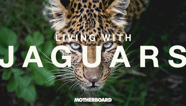 Living with Jaguars Steam capsule image