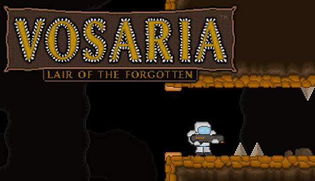 Vosaria: Lair of the Forgotten Steam capsule image