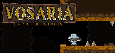 Vosaria: Lair of the Forgotten Cover Image