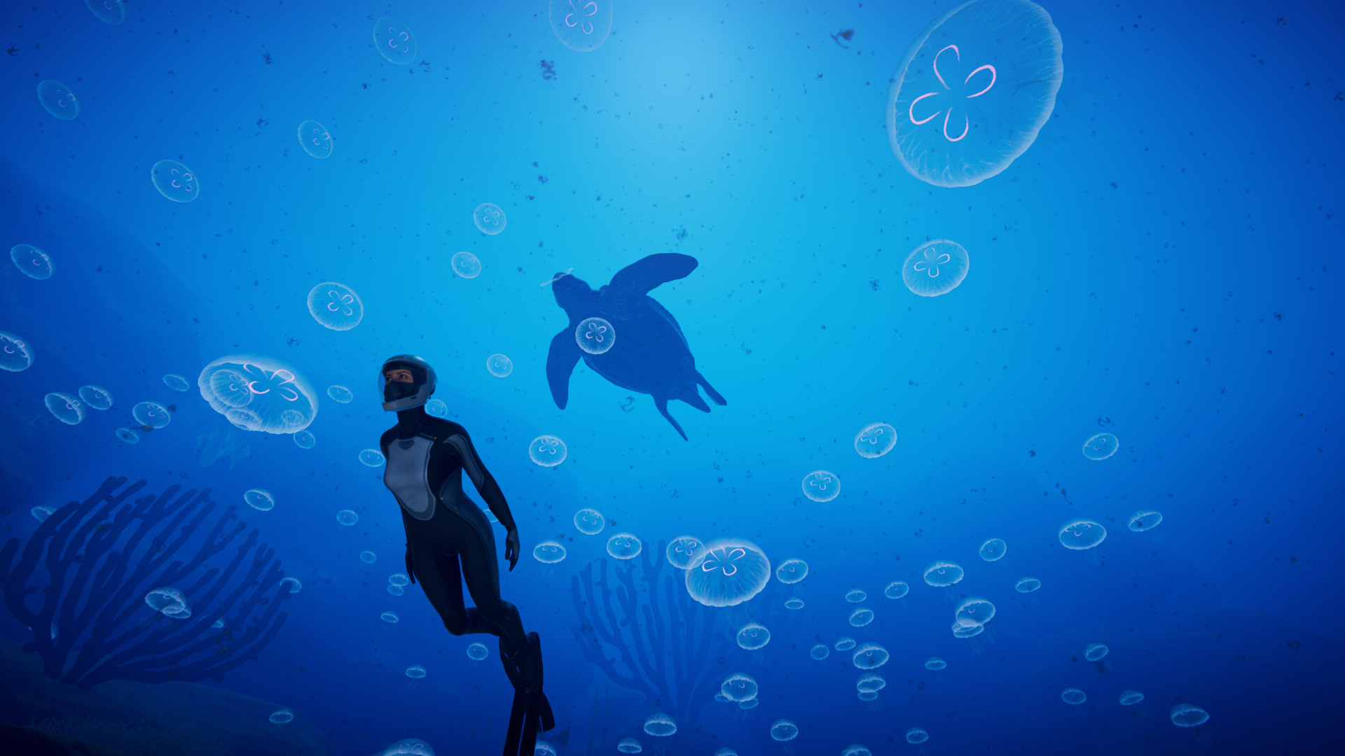 Bluey Underwater Bluey Dive Fun Pack Bluey Official Website Free
