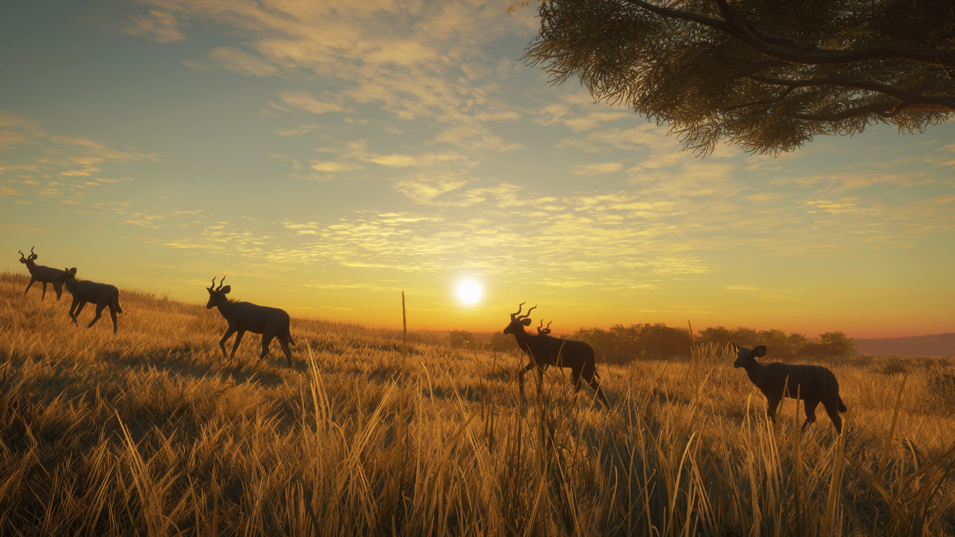 theHunter: Call of the Wild™ - Vurhonga Savanna