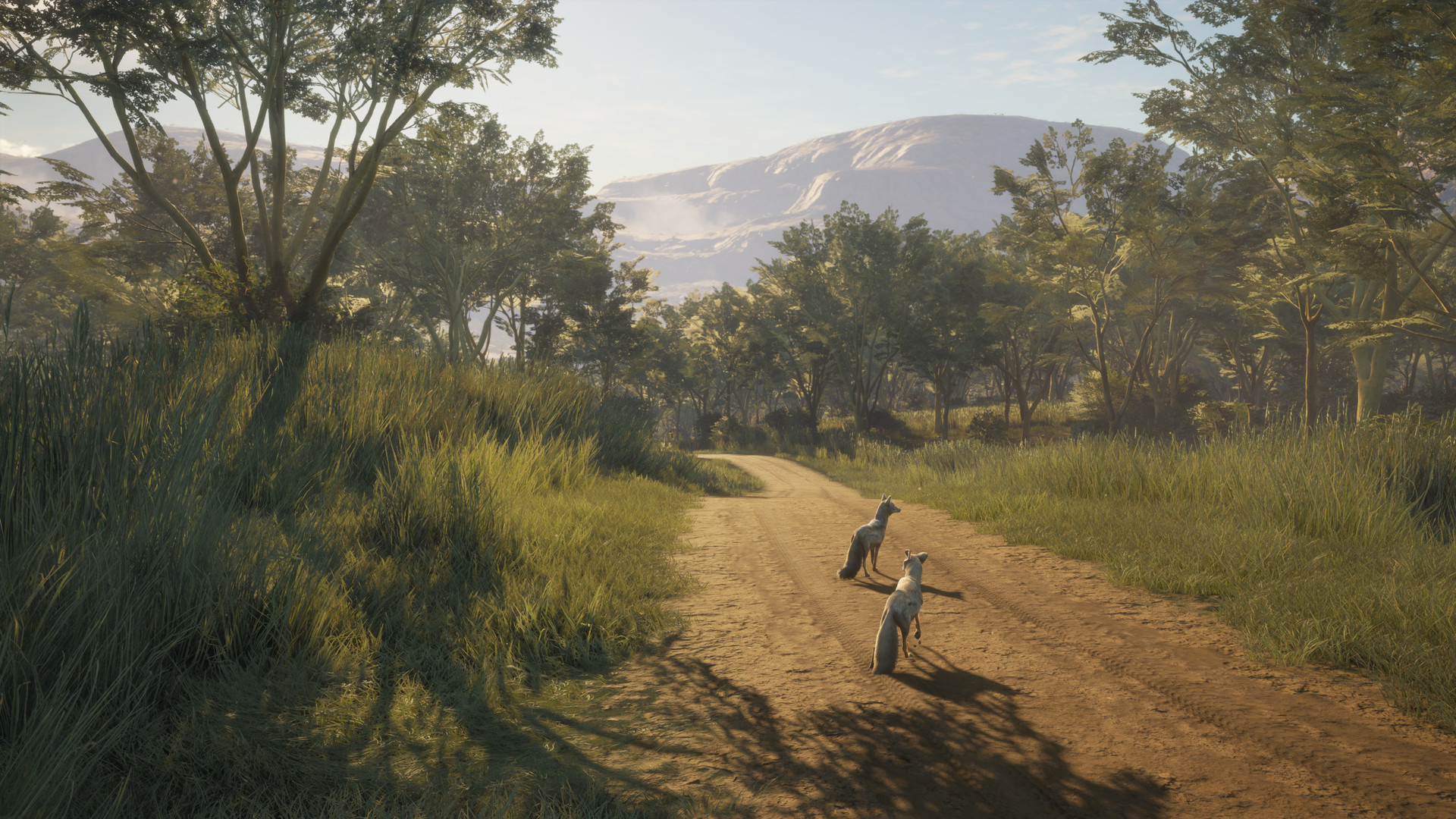 theHunter: Call of the Wild™ - Vurhonga Savanna