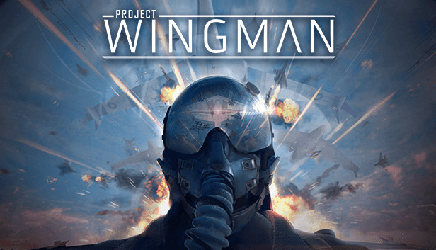 NOVO JOGO DE COMBATE AÉREO INSANO ESTILO ACE COMBATE I PROJECT WINGMAN 