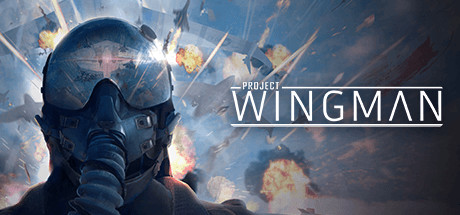 Project Wingman Cover Image