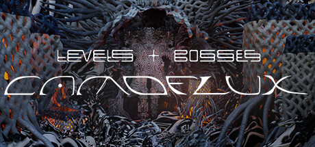 Levels & Bosses: Camoflux Cover Image
