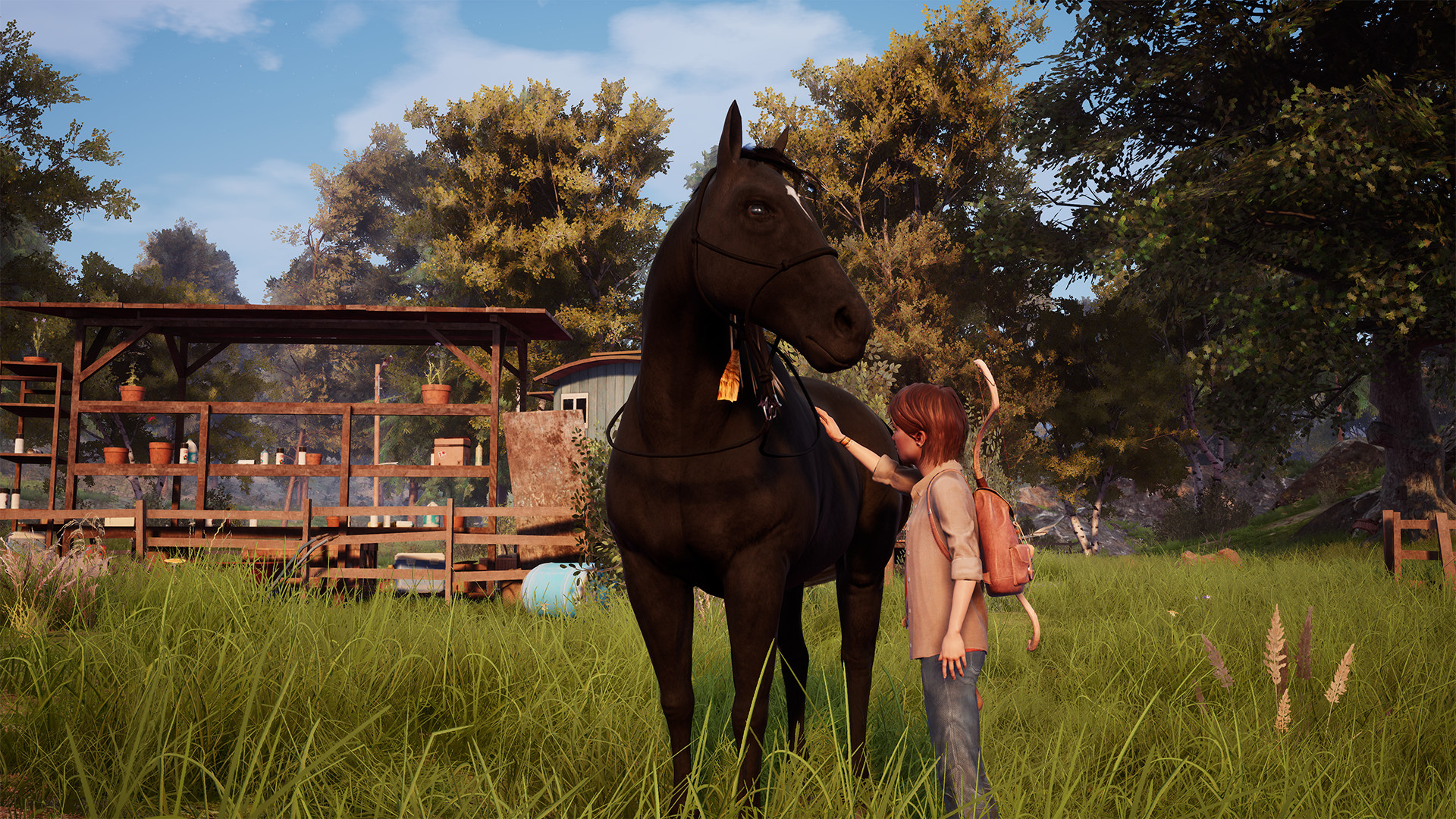 Windstorm / Ostwind - Ari&#39;s Arrival på Steam