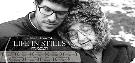Life In Stills header image