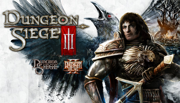 Dungeon Siege III Steam capsule image