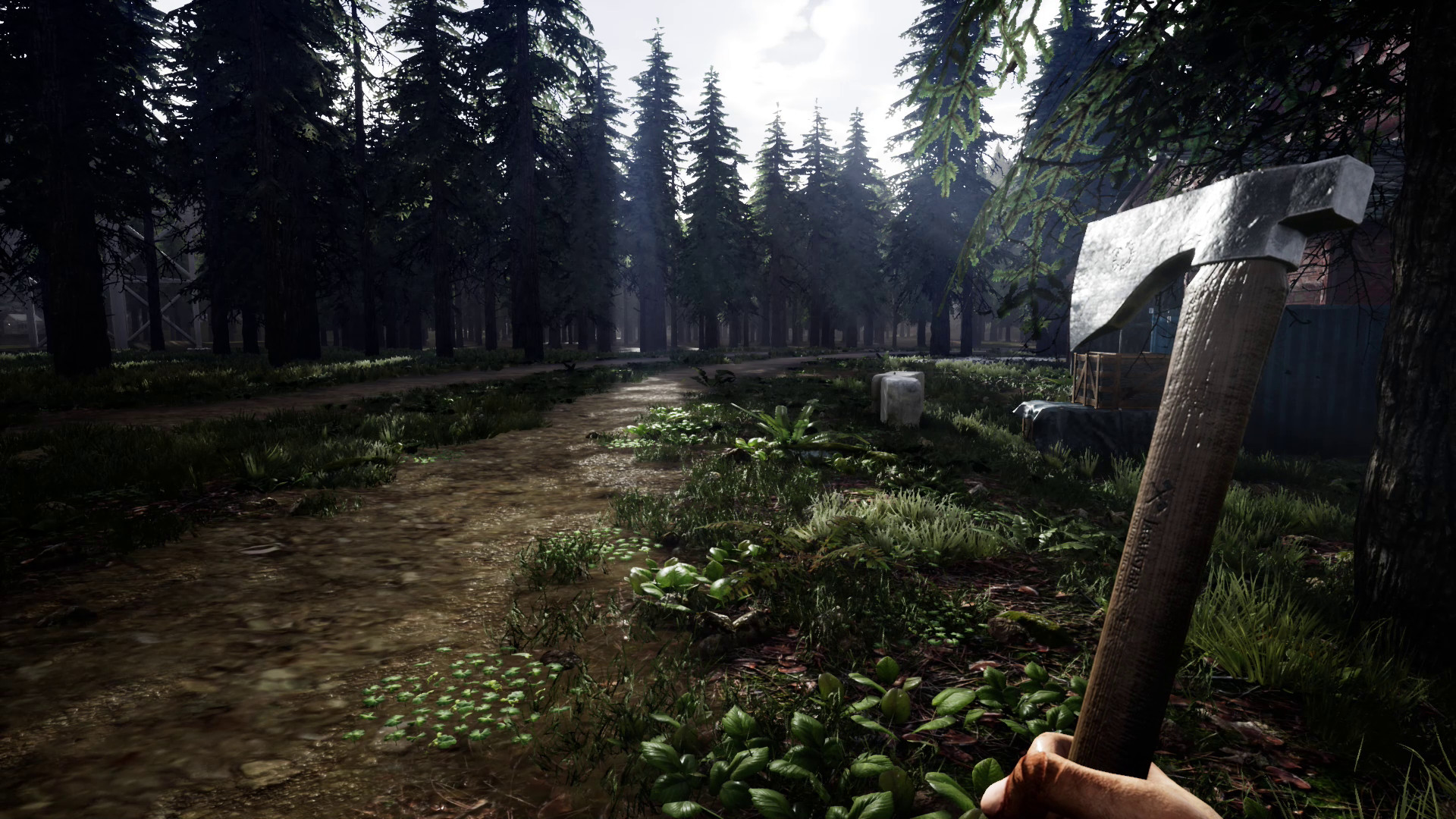 Mist Survival Free Download for PC