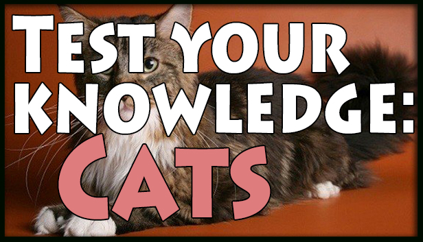 Test your knowledge: Cats Steam capsule image