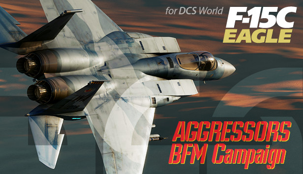 F-15C: Aggressors BFM Campaign Steam capsule image