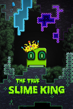 The True Slime King cover art