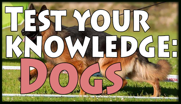 Test your knowledge: Dogs Steam capsule image