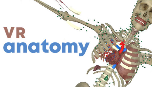 VR Anatomy Steam capsule image