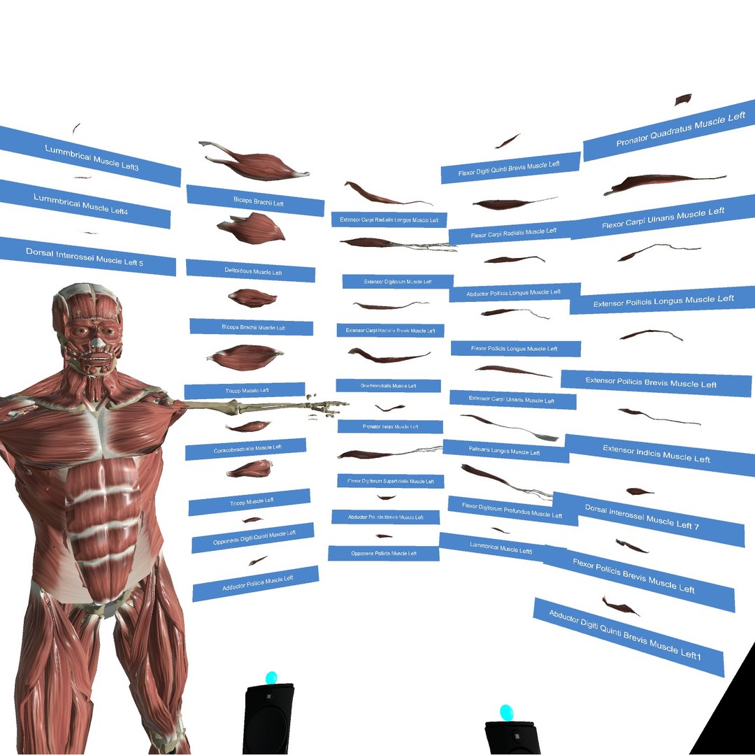 VR Anatomy on Steam