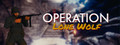 Operation Lone Wolf