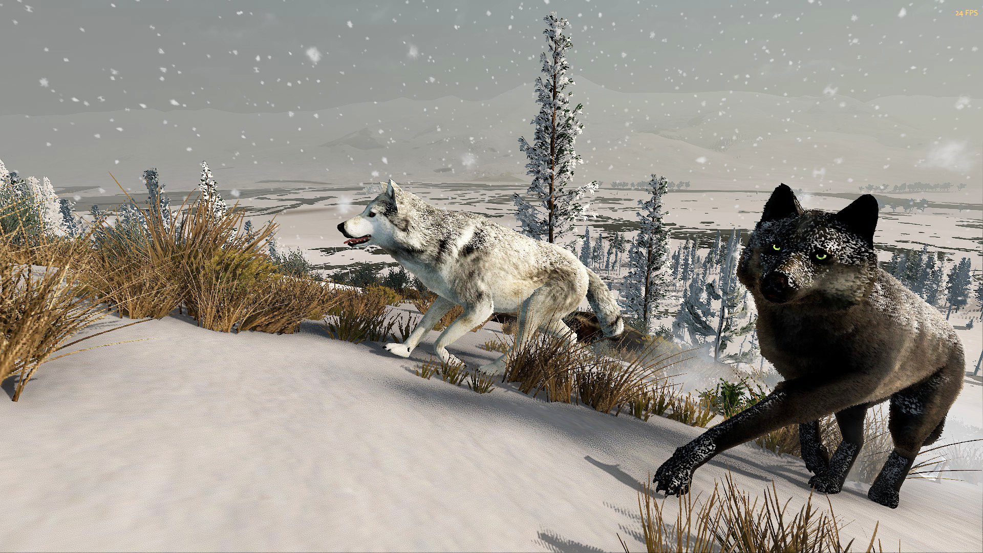 Trial wolf quest free WolfQuest: Anniversary