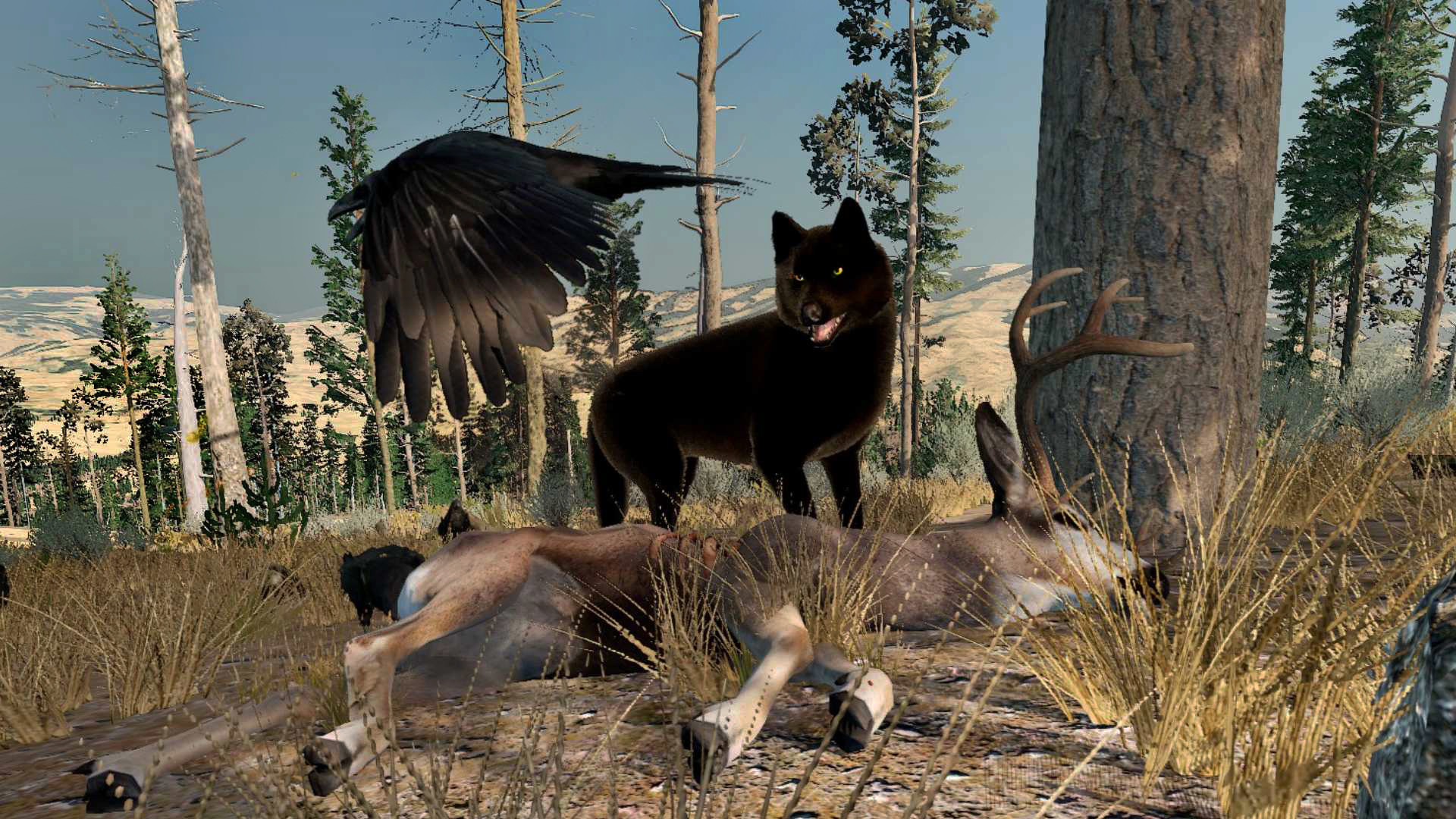 Anniversary Anniversary