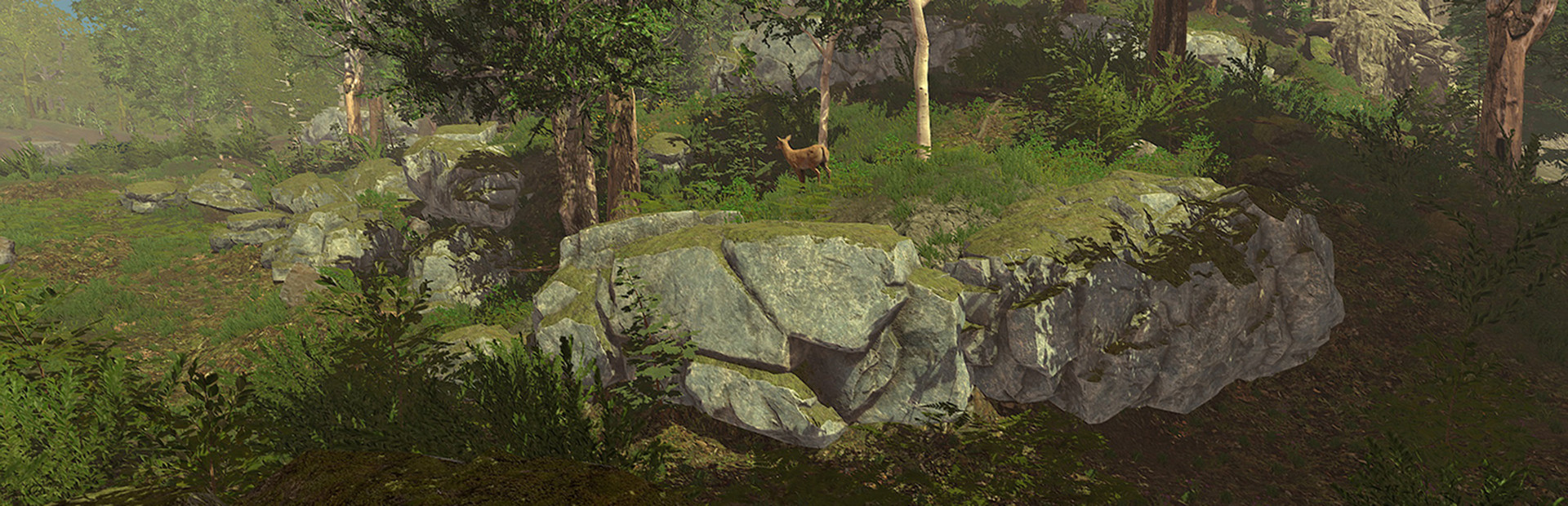 Trials Of Wilderness