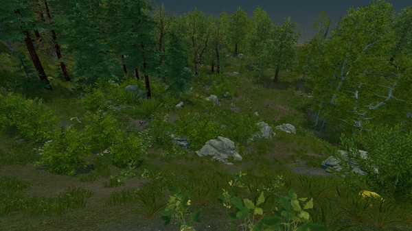 图片[3]-荒野的试炼/Trials Of Wilderness/一键下载安装版-55游戏仓