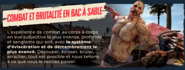 DI2 Steam About Page Slide 2 FR | RPG Jeuxvidéo