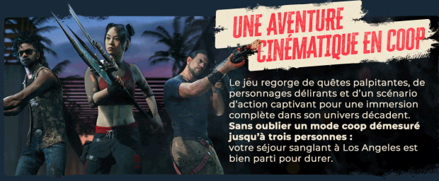 DI2 Steam About Page Slide 5 FR | RPG Jeuxvidéo