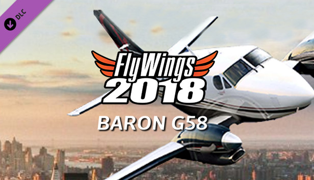 FlyWings 2018 - Baron G58 Steam capsule image