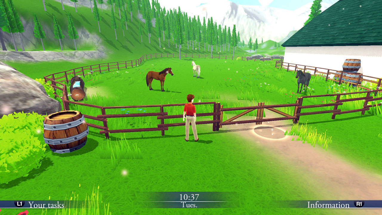 My Riding Stables Your Horse breeding on Steam