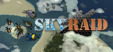 SKYRAID Cover Image