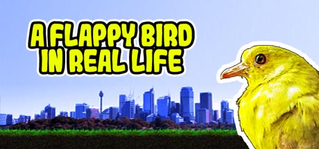 A Flappy Bird in Real Life Cover Image