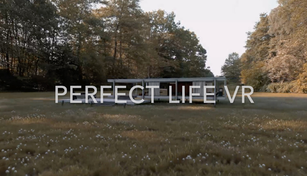 Perfect Life VR Steam capsule image