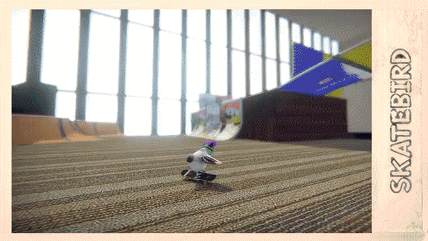 滑板鸟/SkateBIRD