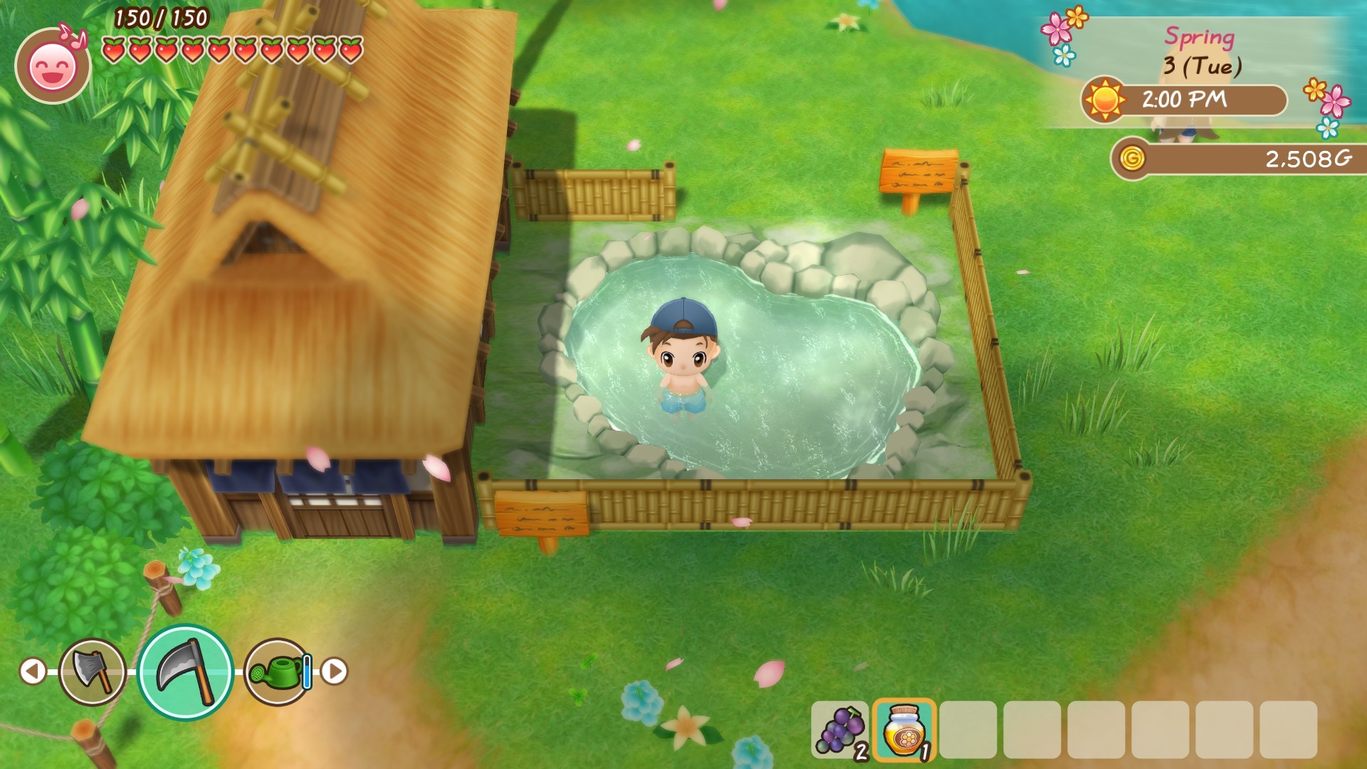 STORY OF SEASONS: Friends of Mineral Town on Steam