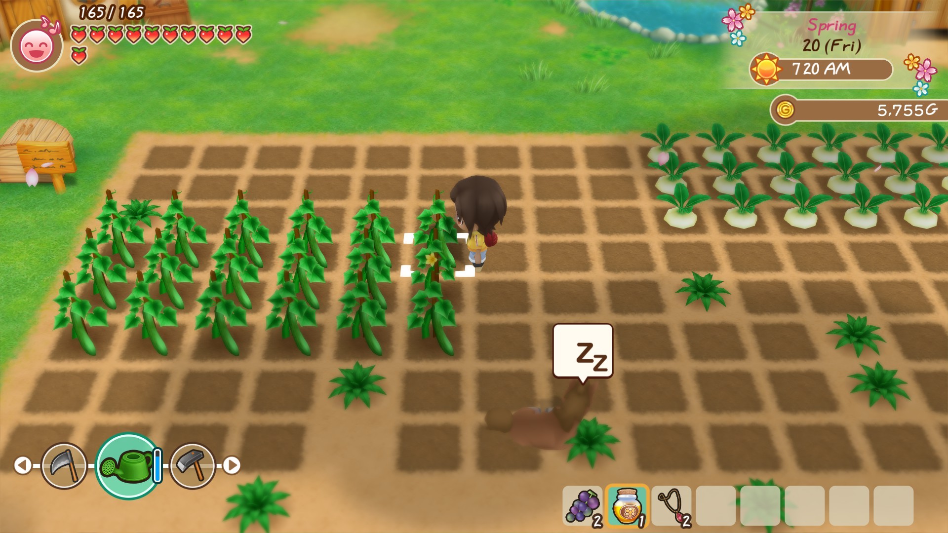Story of Seasons: Friends of Mineral Town - Farming