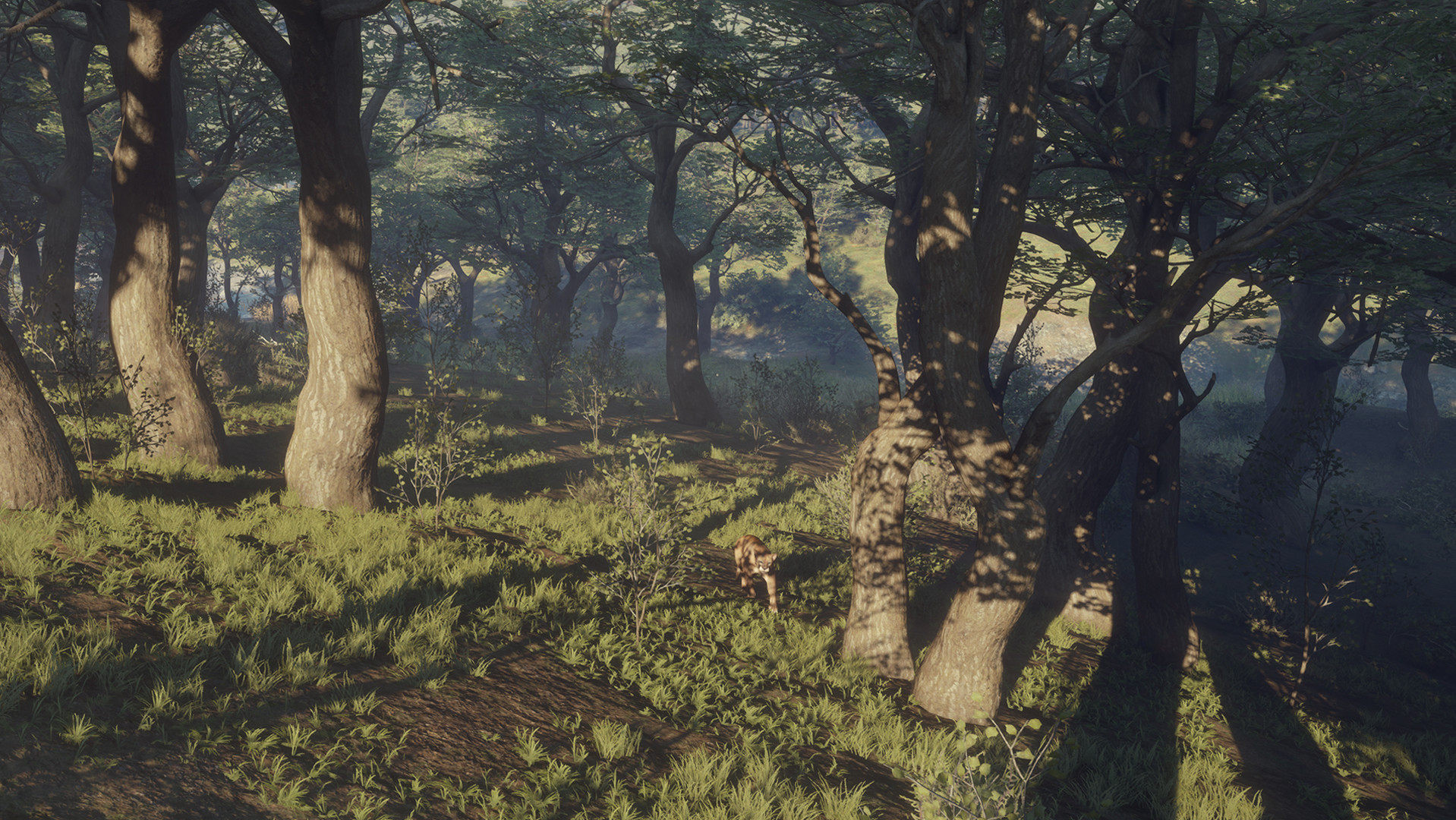 Thehunter Call Of The Wild Parque Fernando On Steam Thehunter Call Of The Wild Parque Fernando On Steam