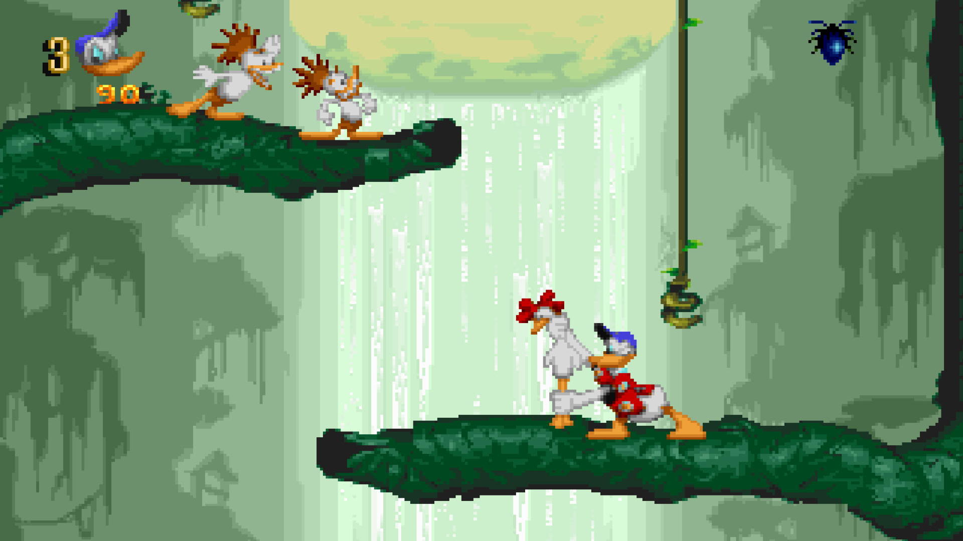 download maui mallard download maui mallard