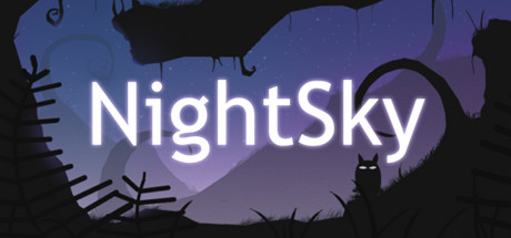 NightSky Cover Image