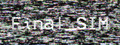 Final_SIM