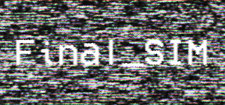 Final_SIM header