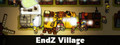 EndZ Village