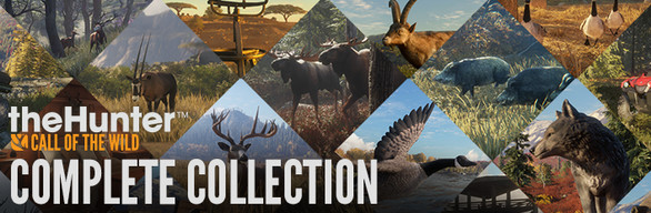 Thehunter Call Of The Wild Complete Collection Sur Steam
