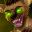 Furry Survivals 18+
