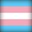 Binary/Non-Binary Transgender
