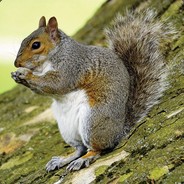 Steam Community :: Group :: Spell Squirrel
