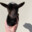 lil black goat